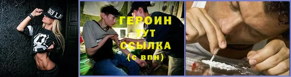 прущие грибы Медвежьегорск
