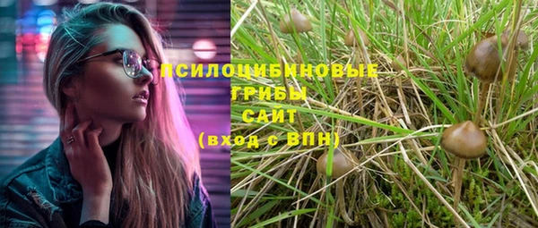 герыч Мегион