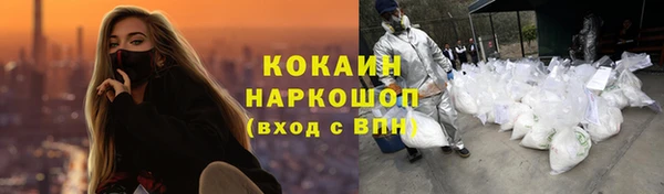прущие грибы Медвежьегорск