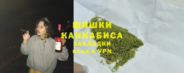 прущие грибы Медвежьегорск