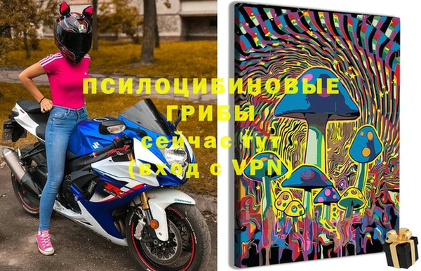 герыч Мегион